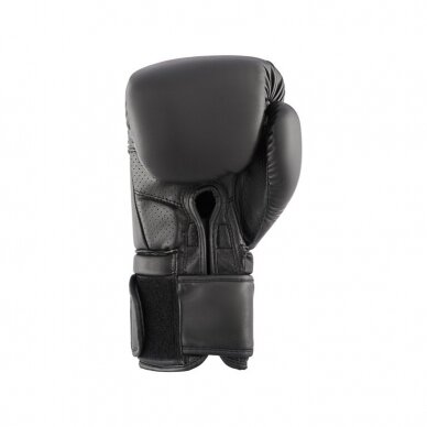 "Royal" bokso pirštinės Gladiator - Black