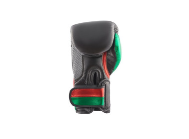 "Hitman" bokso pirštinės Premium - Black/Red/Green